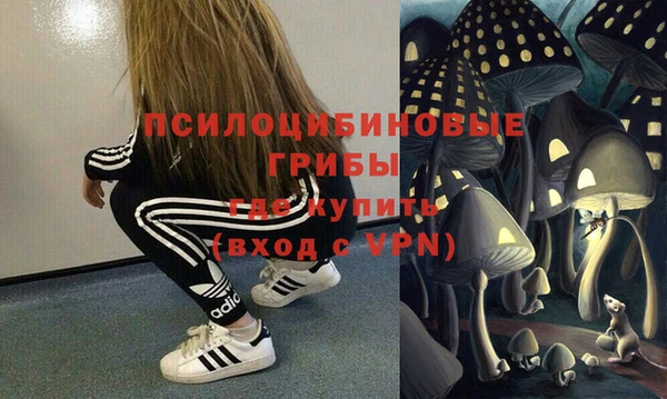 круглые Дмитриев