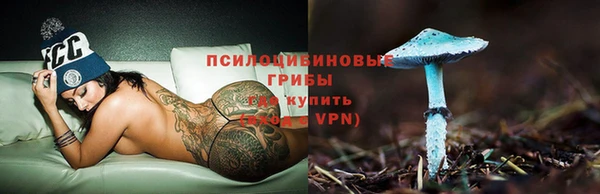круглые Дмитриев