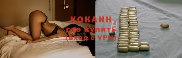 мет Дмитров