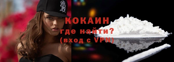 мет Дмитров