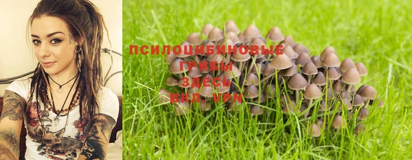 спайс Дмитровск