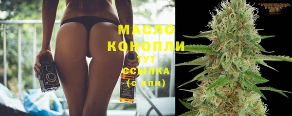 мет Дмитров