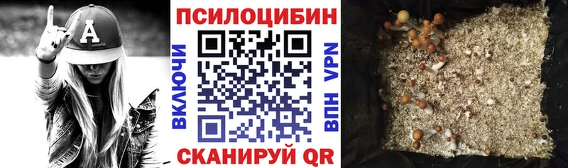 Псилоцибиновые грибы Cubensis  Купить  Макаров 